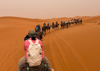 a group of people riding camels in the desert