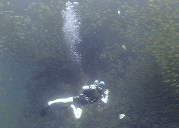 a scuba diver giving a thumbs up below water