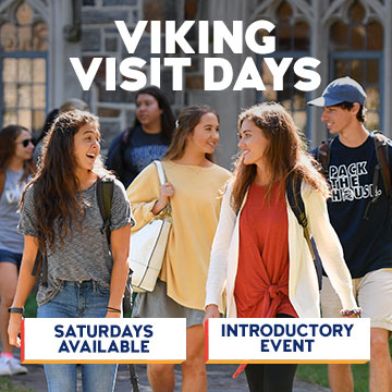 Viking Visit days: introductory event, saturdays available