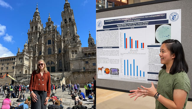 Fulbright and Goldwater scholars