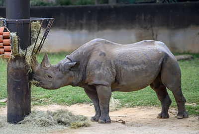 ${$_EscapeTool.xml($alt)}