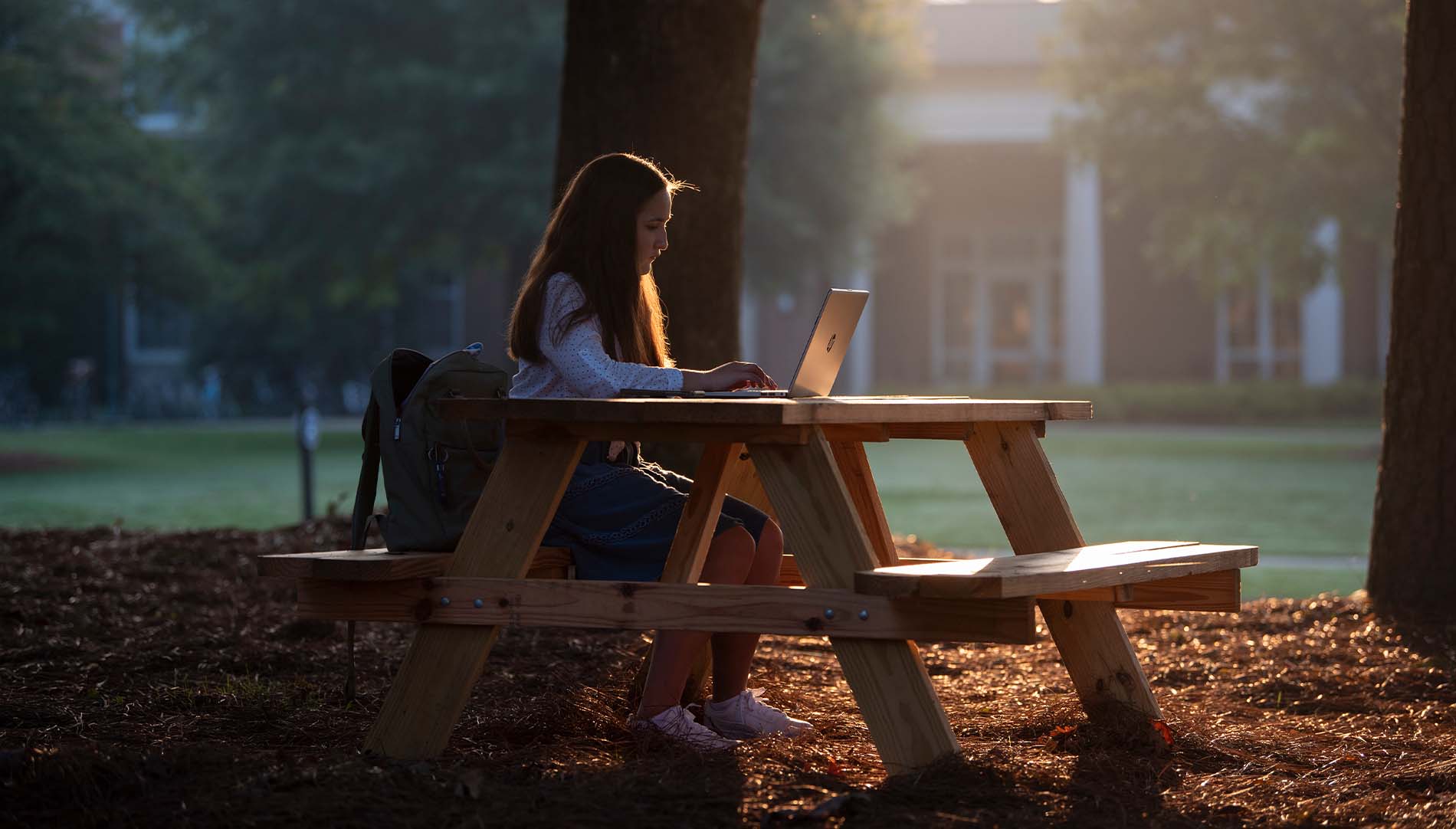 female student studying on laptop in sunlight