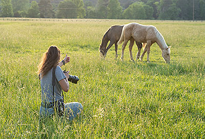 ${_EscapeTool.xml($imgAlt)}