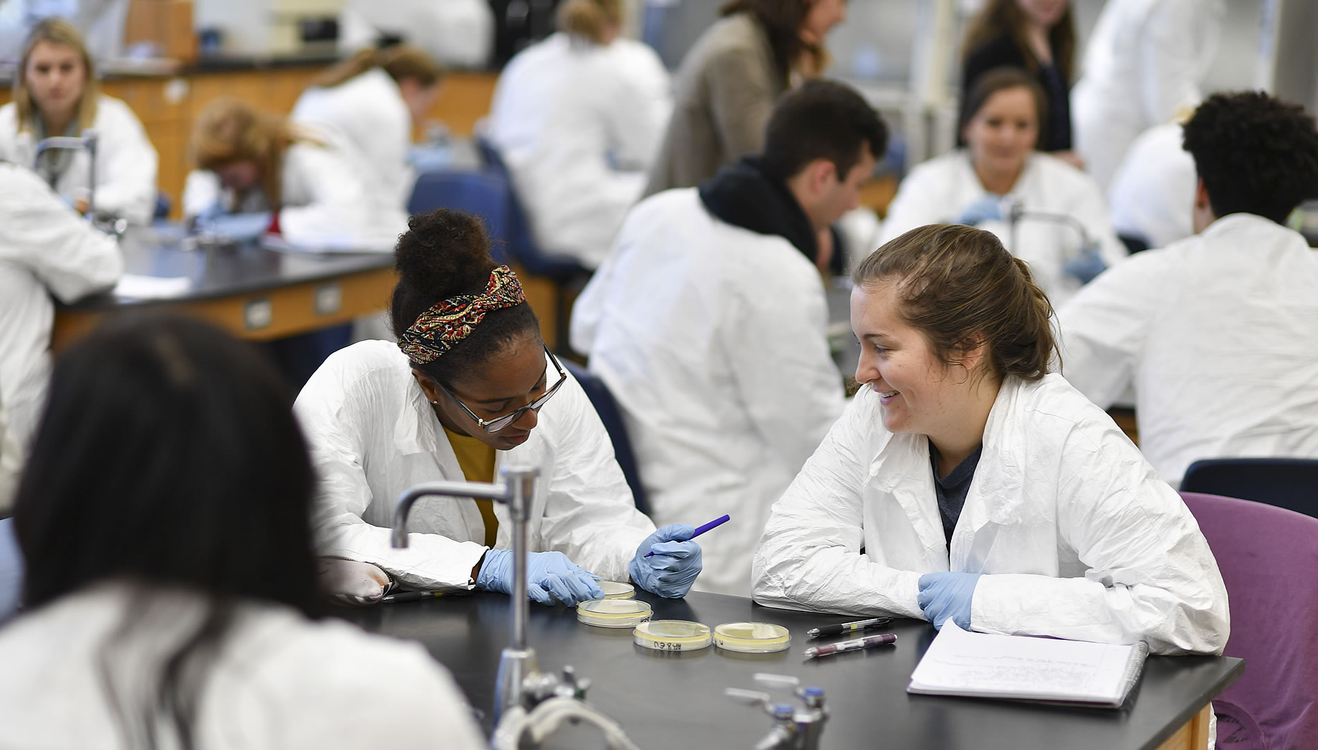 What is Pre-Med? Exploring the Path from College to Medical School