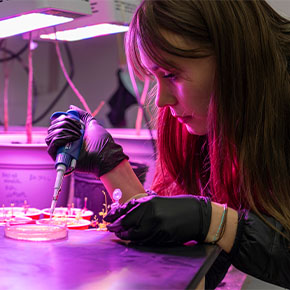 ${_EscapeTool.xml($imgAlt)}