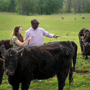 ${_EscapeTool.xml($imgAlt)}