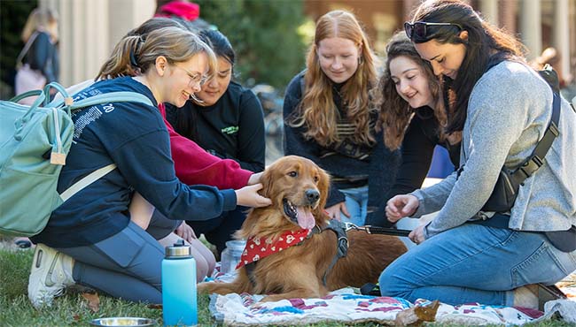 Group of students petting an emotional support dog