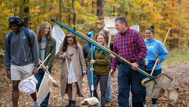 Students catching bugs in nets