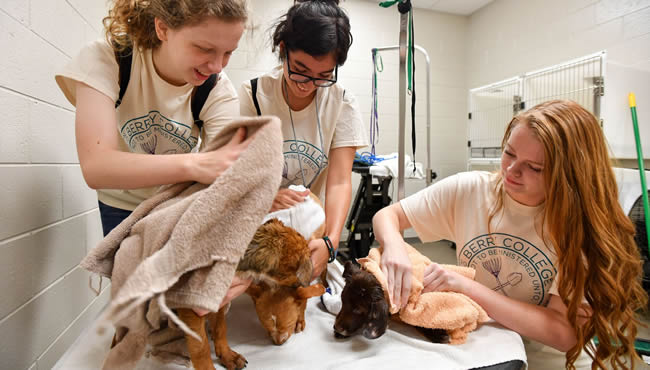 Students at community service