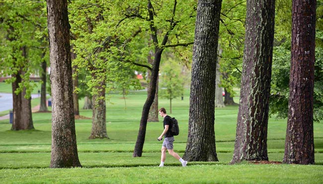 Student hiking in the trees