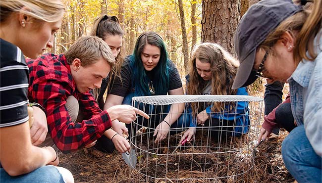 Group of people examining dirt