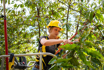 ${$_EscapeTool.xml($alt)}