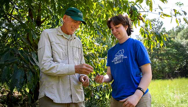 Professor and student under a tree observing chestnuts