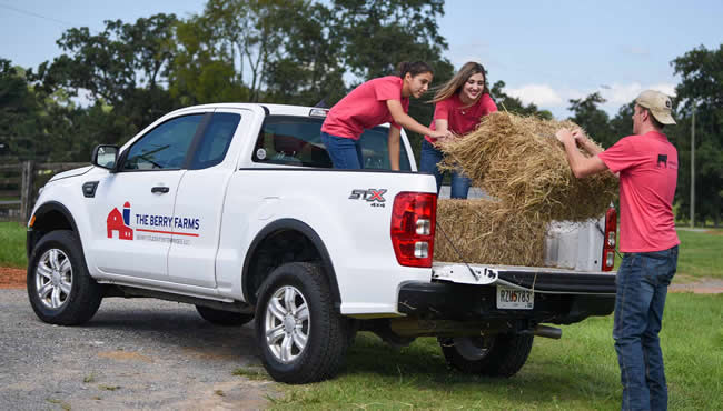 Student unloading hay from a Berry Farm truck