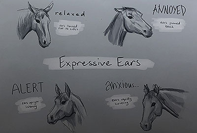 ${$_EscapeTool.xml($alt)}