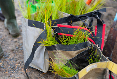 ${$_EscapeTool.xml($alt)}