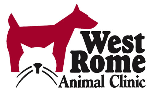 west-rome-animal-clinic-500.jpg